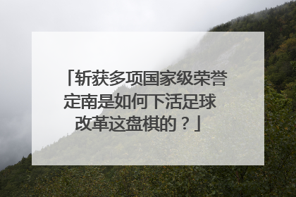斩获多项国家级荣誉 定南是如何下活足球改革这盘棋的？