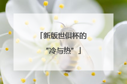 新版世俱杯的“冷与热”
