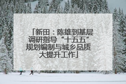 新田：陈雄到基层调研指导“十五五”规划编制与城乡品质大提升工作
