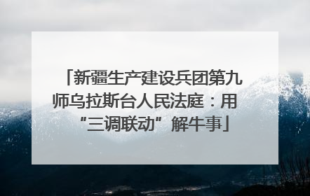 新疆生产建设兵团第九师乌拉斯台人民法庭：用“三调联动”解牛事