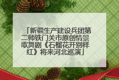 新疆生产建设兵团第二师铁门关市原创情景歌舞剧《石榴花开别样红》将来河北巡演