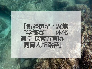 新疆伊犁：聚焦“学练赛”一体化课堂 探索五育协同育人新路径