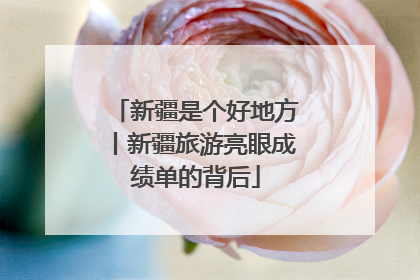 新疆是个好地方丨新疆旅游亮眼成绩单的背后