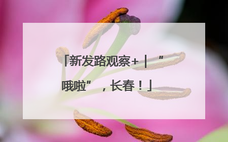 新发路观察+｜“哦啦”，长春！