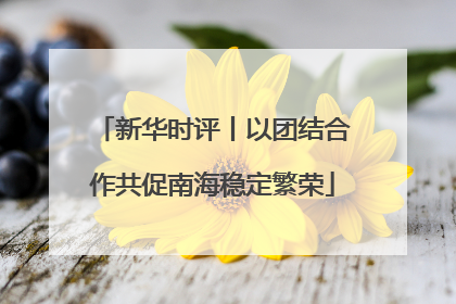 新华时评丨以团结合作共促南海稳定繁荣