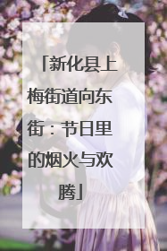 新化县上梅街道向东街：节日里的烟火与欢腾