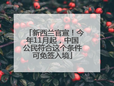 新西兰官宣！今年11月起，中国公民符合这个条件可免签入境