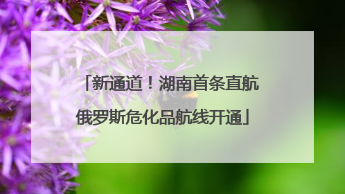 新通道！湖南首条直航俄罗斯危化品航线开通