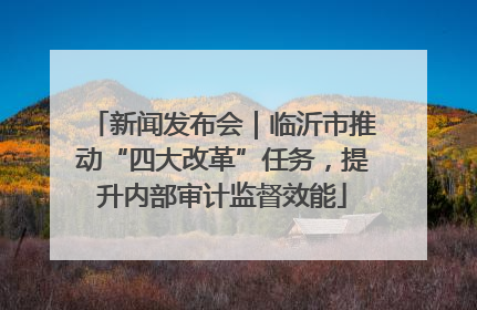 新闻发布会｜临沂市推动“四大改革”任务，提升内部审计监督效能