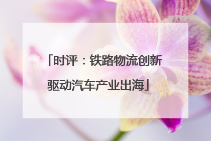 时评：铁路物流创新驱动汽车产业出海