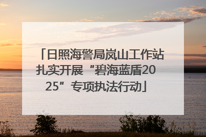 日照海警局岚山工作站扎实开展“碧海蓝盾2025”专项执法行动