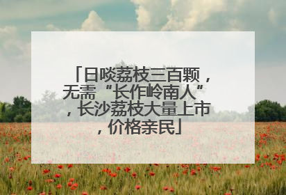 日啖荔枝三百颗，无需“长作岭南人”，长沙荔枝大量上市，价格亲民