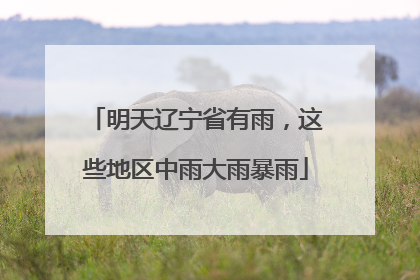 明天辽宁省有雨，这些地区中雨大雨暴雨