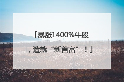 暴涨1400%牛股，造就“新首富”！