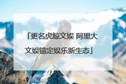 更名虎鲸文娱 阿里大文娱锚定娱乐新生态
