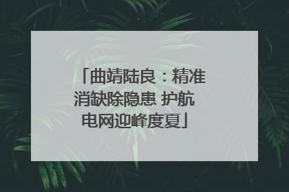曲靖陆良：精准消缺除隐患 护航电网迎峰度夏