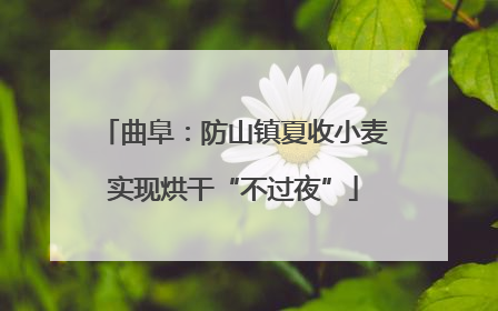 曲阜：防山镇夏收小麦实现烘干“不过夜”