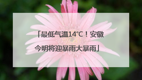 最低气温14℃！安徽今明将迎暴雨大暴雨
