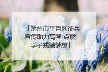 朔州市平鲁区征兵宣传助力高考 点燃学子戎装梦想