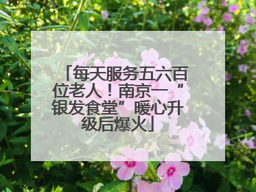 每天服务五六百位老人！南京一“银发食堂”暖心升级后爆火