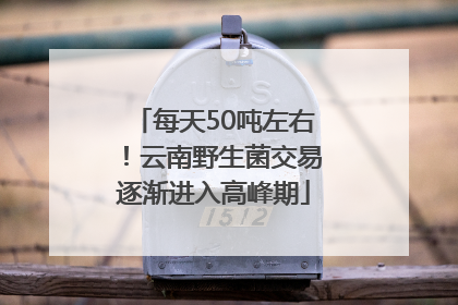 每天50吨左右！云南野生菌交易逐渐进入高峰期