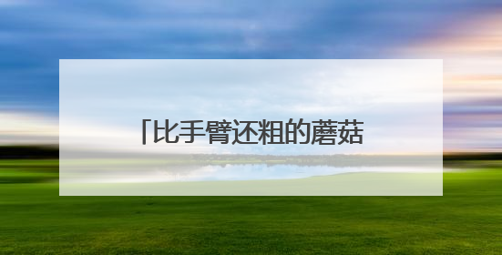 比手臂还粗的蘑菇！在玉米地被发现，柳州市民：能吃吗