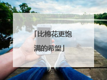 比棉花更饱满的希望