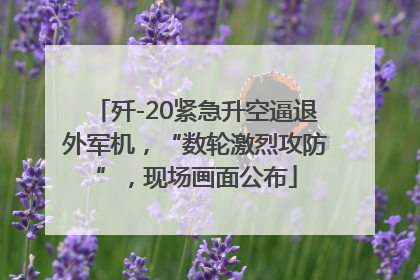 歼-20紧急升空逼退外军机，“数轮激烈攻防”，现场画面公布