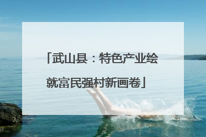 武山县：特色产业绘就富民强村新画卷
