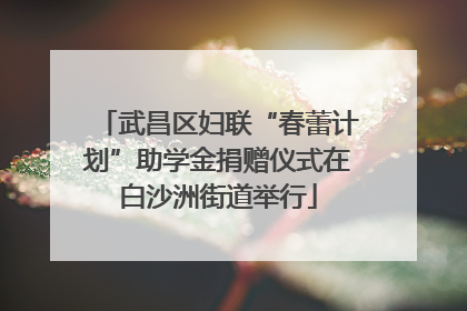 武昌区妇联“春蕾计划”助学金捐赠仪式在白沙洲街道举行