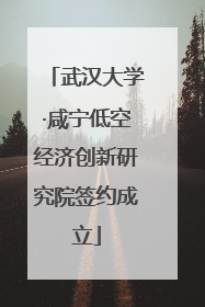 武汉大学·咸宁低空经济创新研究院签约成立