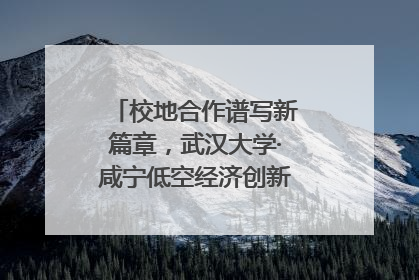 校地合作谱写新篇章，武汉大学·咸宁低空经济创新研究院签约成立