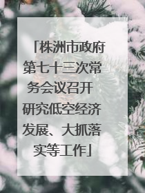 株洲市政府第七十三次常务会议召开 研究低空经济发展、大抓落实等工作