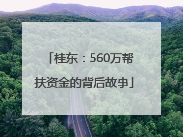 桂东：560万帮扶资金的背后故事