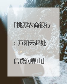 桃源农商银行：万阳云起处 信贷润春山