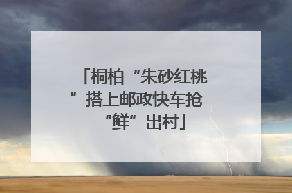 桐柏“朱砂红桃”搭上邮政快车抢“鲜”出村