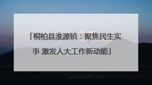 桐柏县淮源镇：聚焦民生实事 激发人大工作新动能