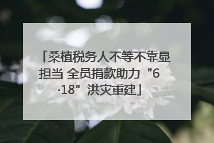 桑植税务人不等不靠显担当 全员捐款助力“6·18”洪灾重建
