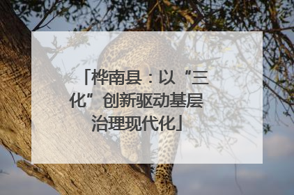 桦南县：以“三化”创新驱动基层治理现代化