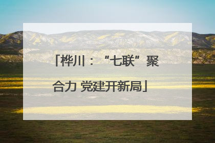 桦川：“七联”聚合力 党建开新局