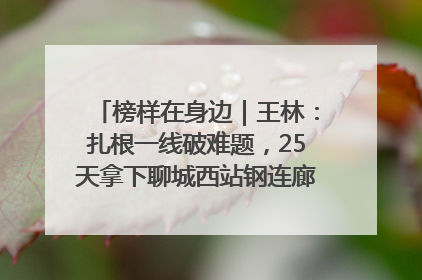 榜样在身边｜王林：扎根一线破难题，25天拿下聊城西站钢连廊“硬核”工程