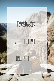 樊振东，一日四胜！
