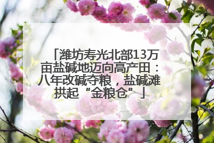 潍坊寿光北部13万亩盐碱地迈向高产田：八年改碱夺粮，盐碱滩拱起“金粮仓”