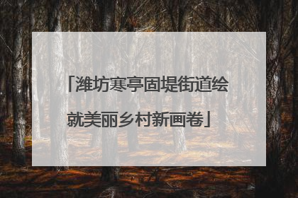 潍坊寒亭固堤街道绘就美丽乡村新画卷