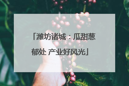 潍坊诸城：瓜甜葱郁处 产业好风光