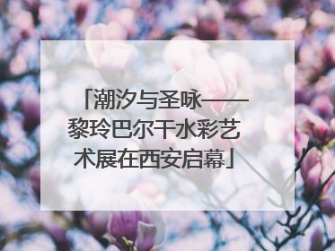 潮汐与圣咏——黎玲巴尔干水彩艺术展在西安启幕