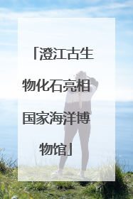 澄江古生物化石亮相国家海洋博物馆