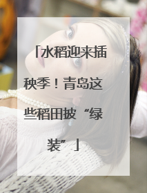 水稻迎来插秧季！青岛这些稻田披“绿装”