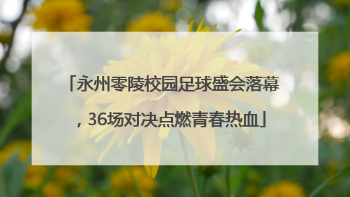 永州零陵校园足球盛会落幕，36场对决点燃青春热血