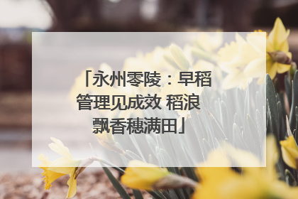永州零陵：早稻管理见成效 稻浪飘香穗满田